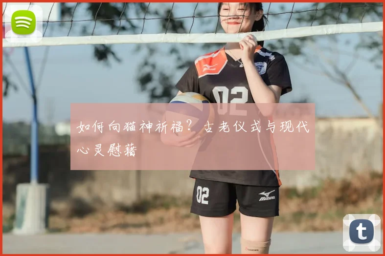 如何向猫神祈福？古老仪式与现代心灵慰藉
