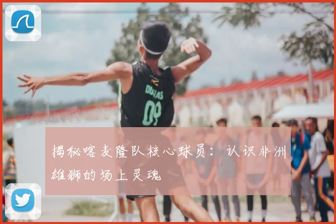 揭秘喀麦隆队核心球员：认识非洲雄狮的场上灵魂
