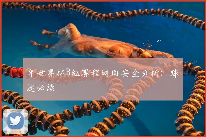 年世界杯B组赛程时间安全分析：球迷必读