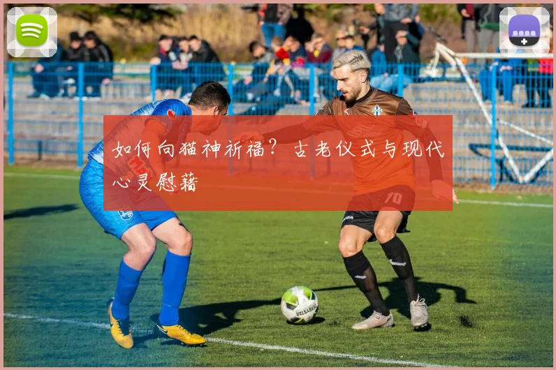 如何向猫神祈福？古老仪式与现代心灵慰藉