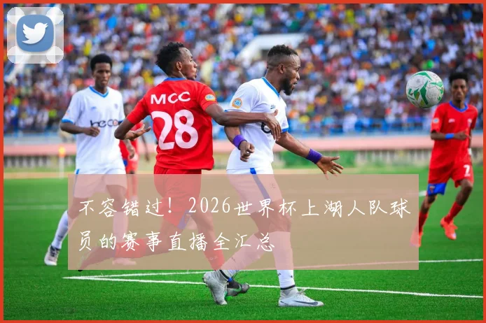 不容错过！2026世界杯上湖人队球员的赛事直播全汇总